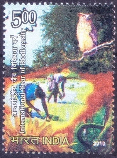 Biodiversidad, búho, plantador de arroz, agricultura, India 2010 MNH  Foto 1 de 1