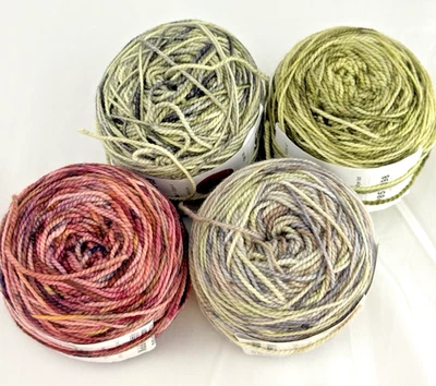 4 Paleta de Pintor Koigu Premium Merino Superwash Lana Hilo Dedos Peso Foto 1 de 4