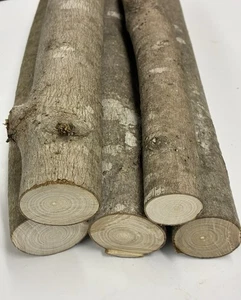 5 Stck. Holz Baum Ast Stab Stämme 10" Natürlicher Ahorn Handwerk Projekte Rustikale Dekoration - Bild 1 von 3