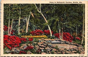 Szene in Bellingrath Gardens Mobile ALABAMA LEINEN POSTKARTE D14 - Bild 1 von 2