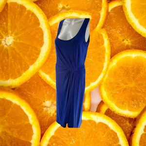 Lauren Ralph Lauren Blue Cinched Sleeveless Dress Size 10 - Picture 1 of 7