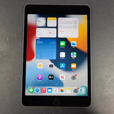 Apple iPad mini 4 (4th Gen) 128GB, Wi-Fi, 7.9in OEM iOS Tablet A1538 Space Gray - Bild 1 von 4