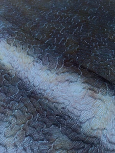 3.875 yds Opuzen Multi Velvet Navy Blue Luxe Abstract Italian  Upholstery Fabric - Picture 1 of 11