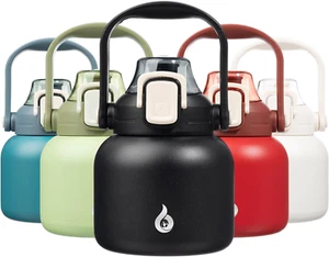 Insulated Water Bottles with Straw, 20 Oz Cute Water Bottles with Handle, BPA Fr - Picture 1 of 12