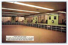 c1960's Display Ape Detroit Zoological Park Exhibit Royal Oak Michigan Postcard