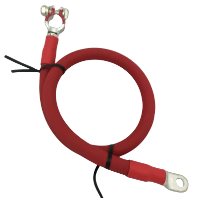 Cable de batería positivo 1/0 AWG calibre 0 Ga cobre hecho a medida auto-camión-marino Foto 1 de 4