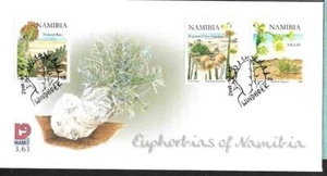 NAMIBIA, 2008 EUFORBIAS DE NAMIBIA ILUSTRADO FDC, - Imagen 1 de 1