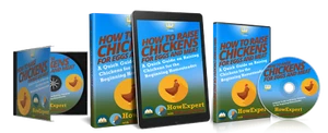 How to Raise Chickens for Eggs and Meat (Ebook + Audio + Video) - HowExpert - Picture 1 of 3