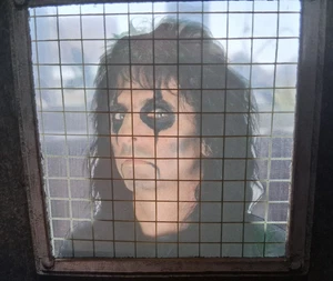 ALICE COOPER CD´s/ the life and crimes of Alice Cooper / neuwertig /kein T-Shirt - Bild 1 von 11