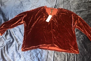 Eileen Fisher Silk Velvet V-Neck Dolman Sleeve Top Size s NWT - Picture 1 of 8