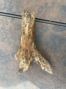 Natural Driftwood for Plants Terrarium Taxidermy Art Projects - Picture 1 of 4