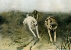 Russian greyhounds chasing a wolf....antique Chromolithographs..1908