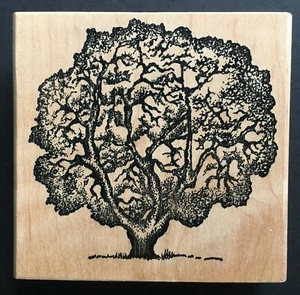 Big Old Tree Lettuce Leaf Vegetable Resemblance Forest Nature Wood Rubber Stamp - Picture 1 of 3