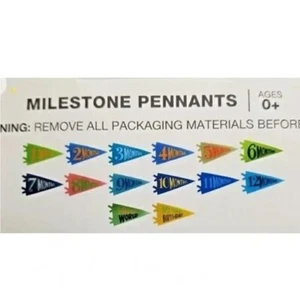 Banderines Moon & Stars Baby Milestone nuevos en paquete 10000006 - Imagen 1 de 1