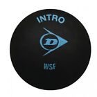 Dunlop Intro Squash Balls (Pack of 12) CS523