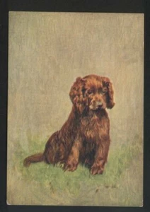 Tarjeta postal perros Sussex Spaniel Tabaco años 30 #067a - Imagen 1 de 1