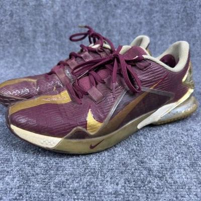 Tênis de basquete Nike LeBron 19 Low Florida State Seminoles masculino tamanho 9 - Imagem 1 de 4