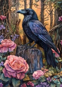 PRINT ACEO Art Card Raven Crow Garden Limited Edition - Picture 1 of 1
