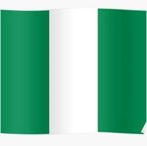 PREMIUM GIANT FLAG OF NIGERIA NIGERIAN FLAG π³π¬ AFRICAN NATION CUP 2022 - Picture 1 of 1
