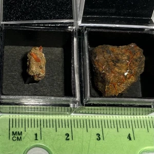 Crocoite Crystal Micro Lot Of 2 Adelaide Proprietary Mine Dundas Tasmania AU - Picture 1 of 15