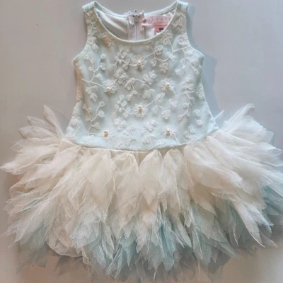 Vestido BISCOTTI Niñas Living the Dream Bordado Tul Azul, Tallas 9M Foto 1 de 4