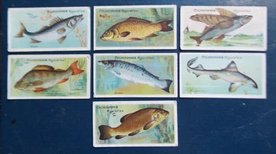 FISHES OF THE WORLD ANTIQUE CHURCHMANS CIGARETTE CARDs 1912 x7 - Image 1 of 4