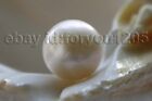 Perle en vrac véritable naturelle 14,6 mm blanche ronde Edison Reborn Keshi perle #neuf8 !