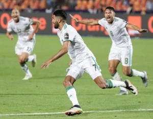 Algeria 2018 Home Shorts World Cup Football Team Soccer Adidas Sample Mens sz L - Picture 1 of 15