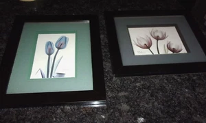 Albert Koetsier - Framed and Matted ART - 13" x 11" SET OF 2 - FLOWER GARDEN - Picture 1 of 10