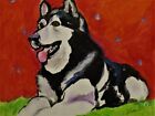 " SIBERIAN HUSKY "  Dog Art Abstract Original acrylic  canvas 8 x 10 CJ Lee