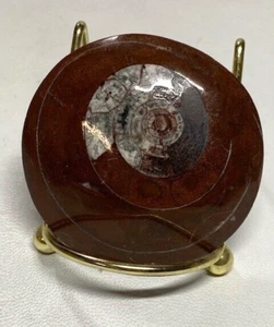 Pisapapeles plano redondo con diseño de caracol madera petrificada - Imagen 1 de 5