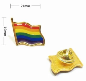 1X Insignia Prendedor Solapa Esmalte Orgullo Gay Bandera Arco Iris LGBT - Imagen 1 de 1