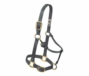 Halter ajustable para mentón y garganta para caballo pequeño de Weaver - Imagen 1 de 9