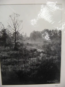 MATTED PHOTOGRAPHY Misty Everglades A/P B&W 16 x 19 By Larry Santucci - Picture 1 of 4