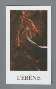 Advertising card - advertising card - L'Ebéne de Louboutin - Picture 1 of 2
