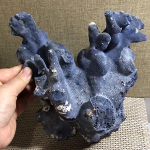 1830g Beautiful natural blue coral crystal cluster mineral sample d4 - Picture 1 of 18