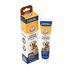 dog toothpaste ebay