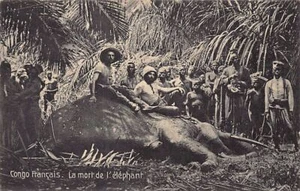 Congo Brazzaville - The death of the elephant - Publ. Béchaud - - Congo Brazzav - Picture 1 of 2