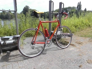 Rennrad von Delgado  Rh 60  cm  in einem gepflegten Zustand  - Bild 1 von 18