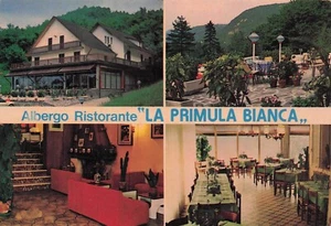 23-160D) CAMPIANO DI CIANO D'ENZA ALBERGO RISTORANTE LA PRIMULA BIANCA - Picture 1 of 2