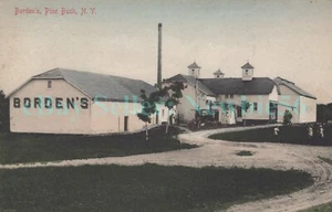 Pine Bush NY - BORDENS CREAMERY - handkolorierte Postkarte Orange County - Bild 1 von 2