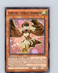 Yu-Gi-Oh TCG Lyrilusc - Cobalt Sparrow MACR-EN012 Unlimited Common Card NM - Picture 1 of 2