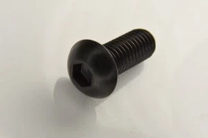 TORNILLOS BOTÓN DE ENCHUFE DE ACERO INOXIDABLE M6 (6MM) NEGRO A2 BTN ALLEN - Imagen 1 de 1