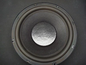 RADIATORE PASSIVO POLK AUDIO RTA-15T 10" #SW100 - Foto 1 di 3