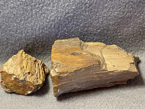 Lote de 2 Piezas Madera Petrificada 14.8 Onzas 4.5"x 2.25"x2" y 4.6 OZ 2.25"x2"x1.25 - Imagen 1 de 24