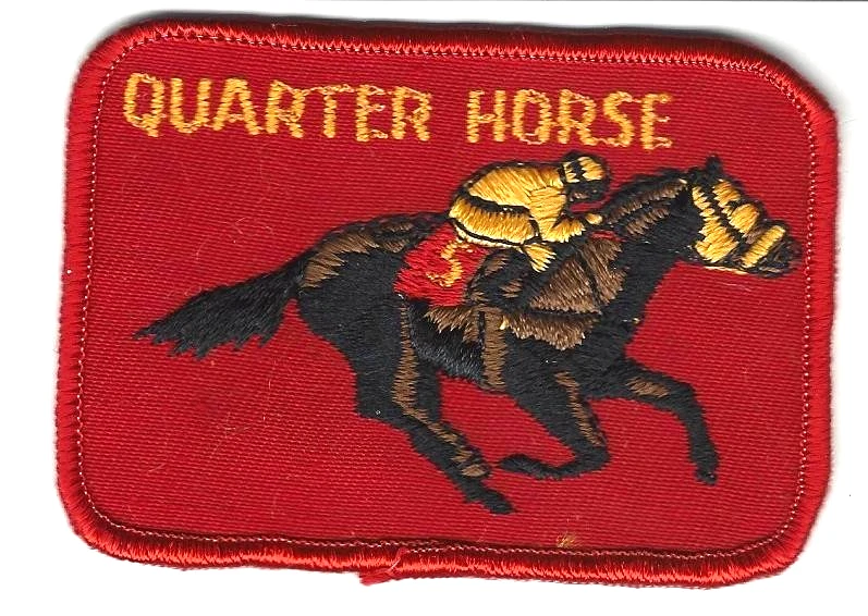 Quarter Horse Sew On Embroidered Patch 3.5 inch Vintage FFA 4-H Rodeo Farm Ranch - Image 1 of 1