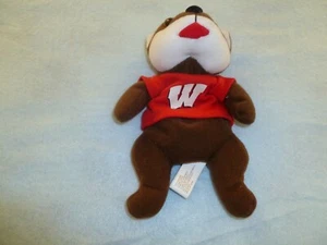 Wisconsin Badger Puppe. Ca. 7 cm groß. Sitzt fast überall - Bild 1 von 2