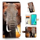 ( For Ipod Touch 5 6 7 ) Wallet Flip Case Cover Aj24110 Elephant