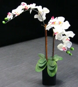 Large 28" White ORCHID Faux Flower Arrangement Decoration w/Black Planter Pot - Picture 1 of 3