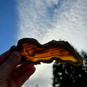 Royal Imperial Jasper Slab - Dodo Bird Scene - Backlit Translucent - Picture 1 of 5